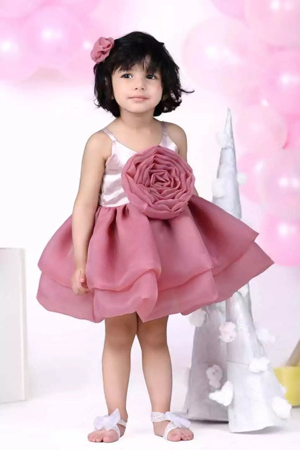 Princess Girl's  Organza Frock