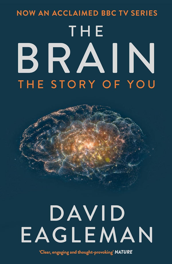 The Brain (Paperback)